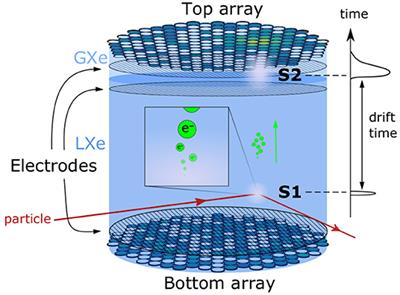 Domain-Informed Neural Networks for Interaction Localization Within Astroparticle Experiments